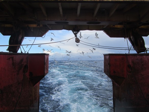 Séð út um rennuna 