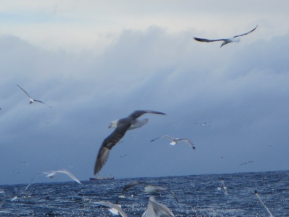Snæfell EA-310 í fjarlægð.