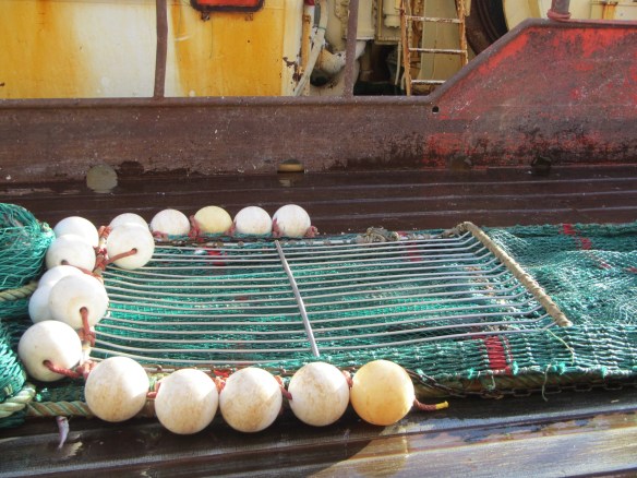 Smáfiskaskiljan á trollinu.