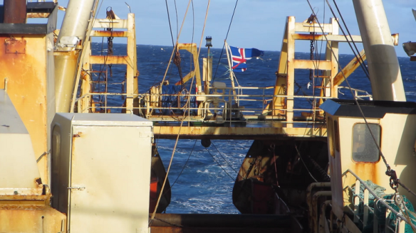 Fáninn rifinn og tættur eftir brælurnar.