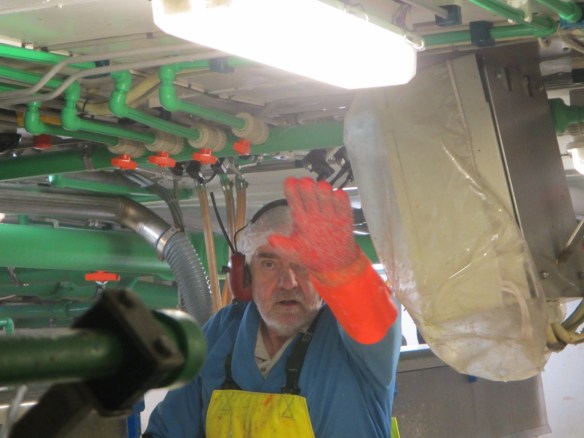 Finnsi í síðasta túr.