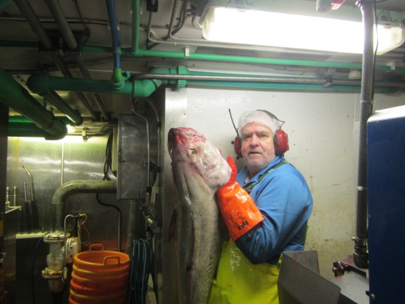 Þessir fara í handflökun.