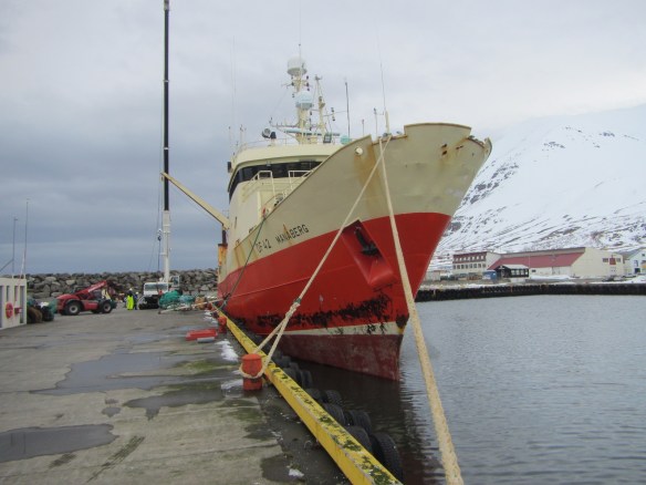 Í höfn á Ólafsfirði.