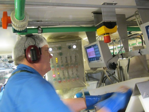 Rögnvaldur á vigtinni