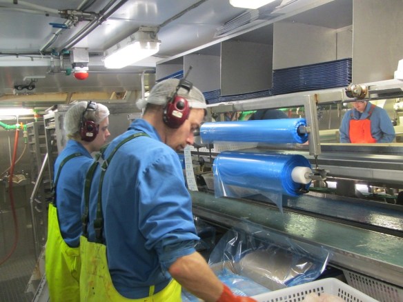 Daði Steinn og Stefán