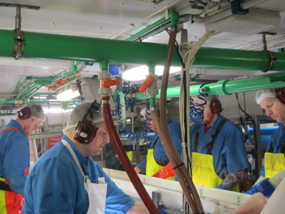 Sævar, Heiðar, Bjössi, Kiddi og Dagur