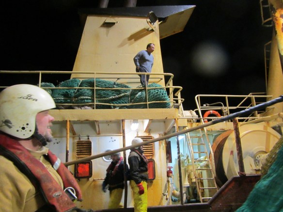 Stýrimaðurinn skoðar aflasamsetninguna.