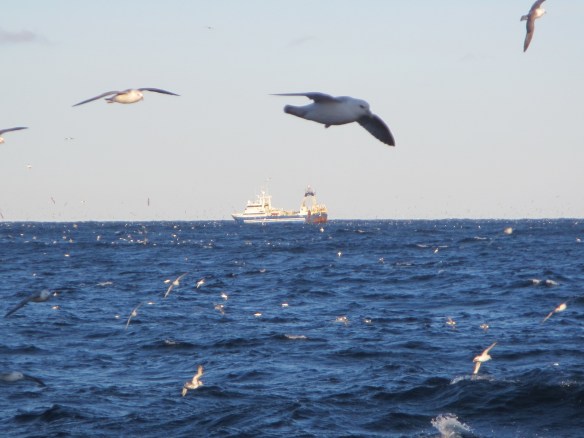 Þerney RE 1 að veiðum