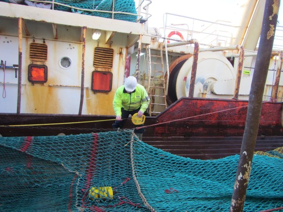 Öruggara að allar mælingar standist ef löggan kemur í heimsókn