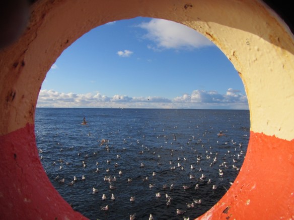 Vonandi verður svona veður á heimleiðinni.