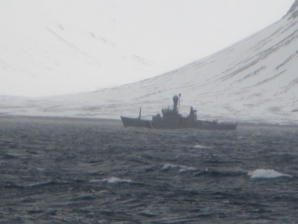 Gráni bíður sennilega eftir grásleppuköllunum.