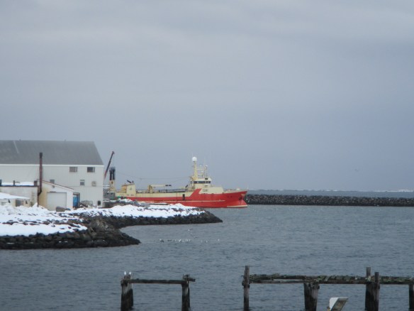 Múlabergið að taka rækjutrollið.