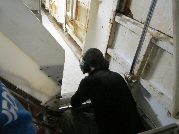 Færibandareimar settar á