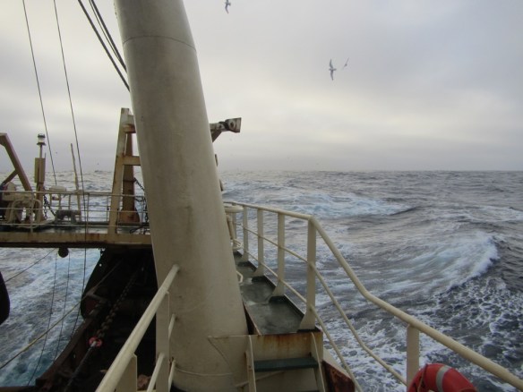 Siglt úr Íslensku norðaustan brælunni í Norska lognið.