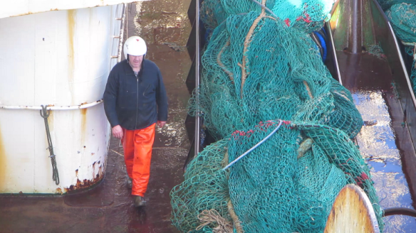 Dekkvinna þrif og tiltekt 1