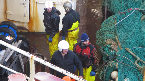 Dekkvinna þrif og tiltekt 2