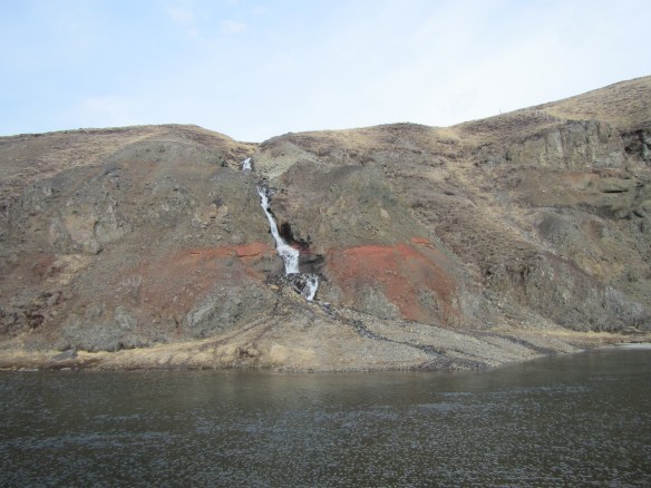 Vorveiði í Blöndu 22.04.2014
