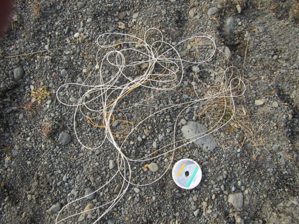 Vorveiði í Blöndu 22.04.2014