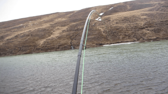 Vorveiði í Blöndu 22.04.2014