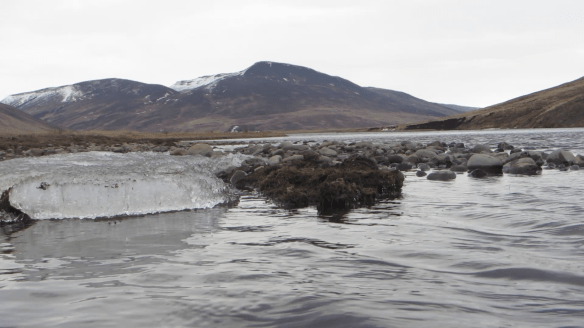 Vorveiði í Blöndu 22.04.2014