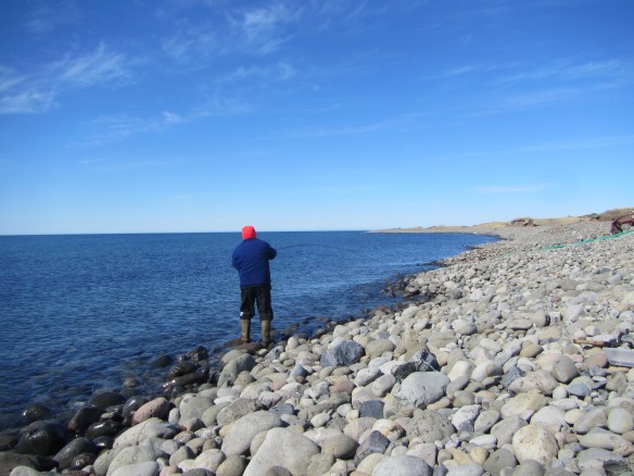 Hraunamölin 3.5.2014