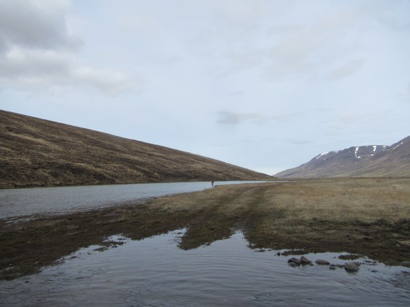 Ævintýri við Blöndu 7. mai 2014