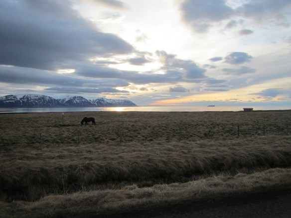 Ævintýri við Blöndu 7. mai 2014
