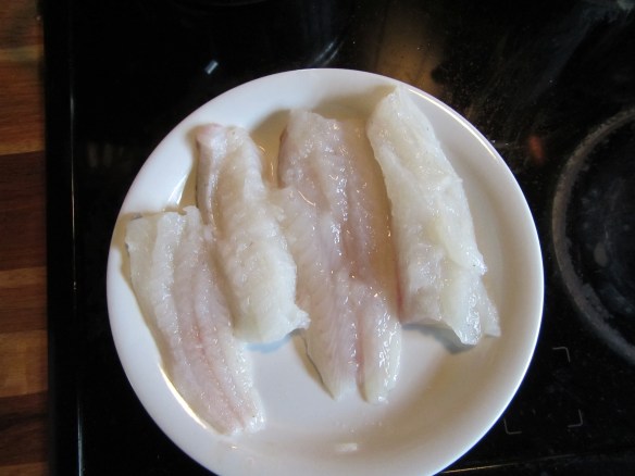 Á sjóstöng og skel með Daða á fleyg