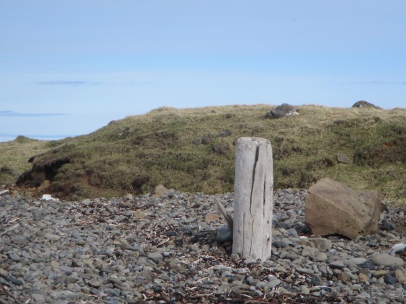 Hraun í Fljótum 14. Mai