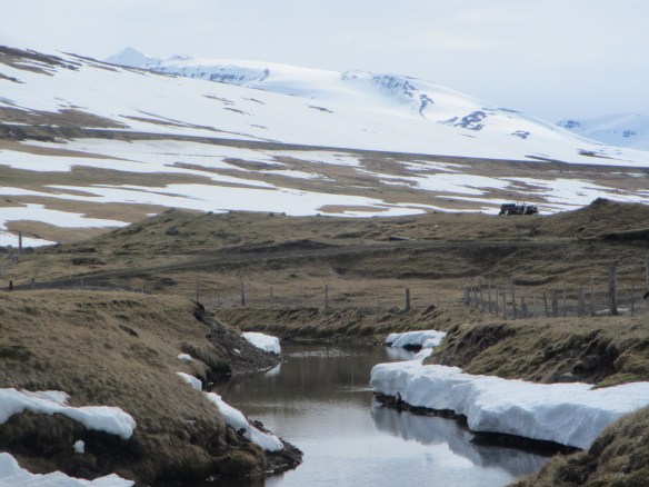 Hraun í Fljótum 14. Mai