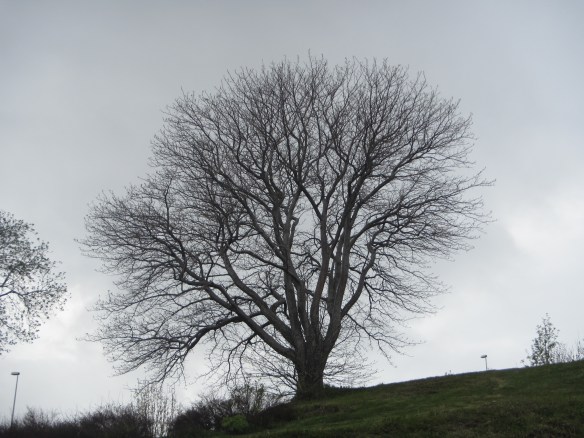 Ferð á Akureyri og Dalvík 23-24 Mai