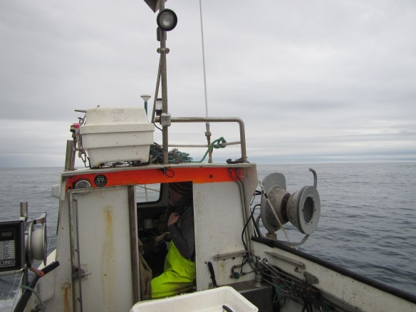 Á handfærum 27 mai.