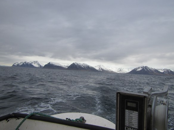 Á handfærum 27 mai.