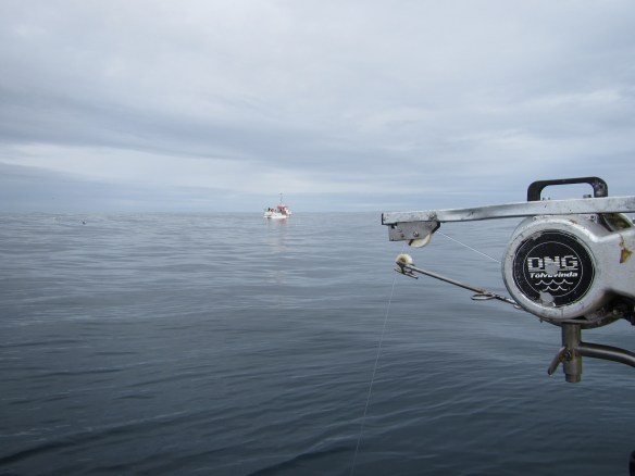 Á handfærum 27 mai.