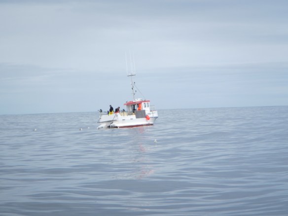 Á handfærum 27 mai.