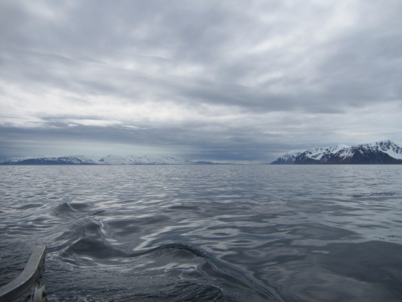 Á handfærum 27 mai.