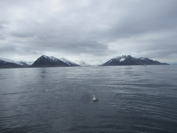 Á handfærum 27 mai.