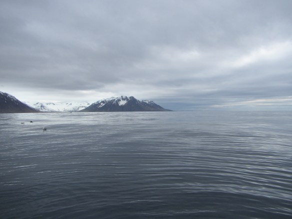 Á handfærum 27 mai.