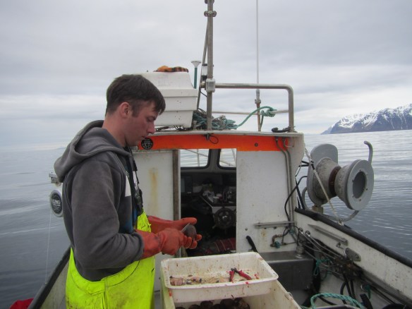 Á handfærum 27 mai.