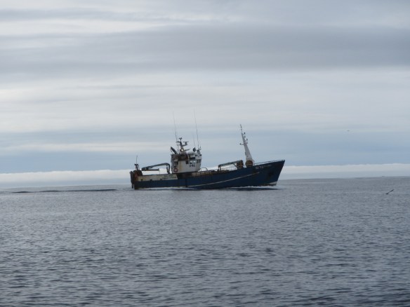 Á handfærum 27 mai.