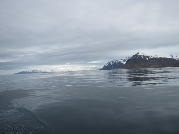 Á handfærum 27 mai.