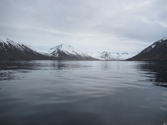 Á handfærum 27 mai.