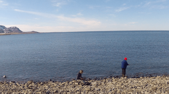 Hraunamölin 3.5.2014