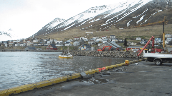 Á sjóstöng og skel með Daða á fleyg