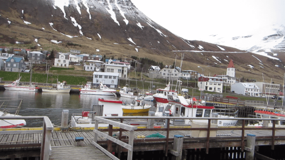 Á sjóstöng og skel með Daða á fleyg