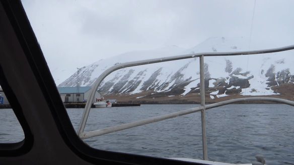 Á sjóstöng og skel með Daða á Fleyg