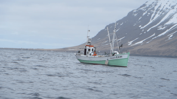 Á sjóstöng og skel með Daða á fleyg