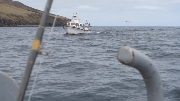 Á sjóstöng og skel með Daða á fleyg