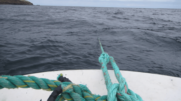 Á sjóstöng og skel með Daða á fleyg