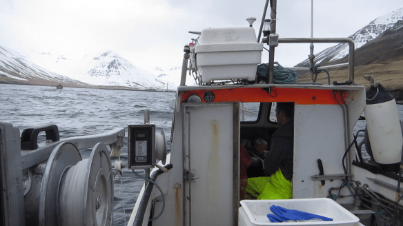 Á sjóstöng og skel með Daða á fleyg